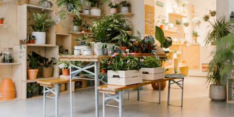 interior of Selva, the new shop of Roxiane Anciaux