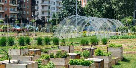 Appel à projet : agriculture urbaine
